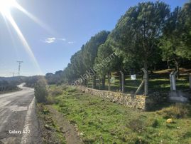 Görgülü*gayrimenkulden*ayvalık*cakmakta*satılık*bag*bahce*satılık**