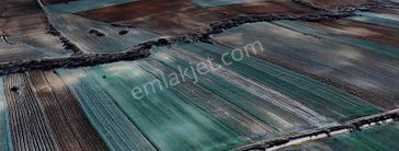 Kırklareli Merkez Tekkeşeyhler Satılık 6657 M² Yola Cephe Tarla