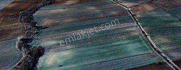 Kırklareli Merkez Tekkeşeyhler Satılık 6657 M² Yola Cephe Tarla