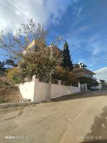 Salih Omurtak Mahallede Harika Bir