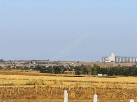 Tekirdağ Ergene Misinli De 310 M2 Satılık Arsa Takasa Açık