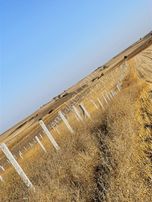 Tekirdağ Ergene Misinli De 310 M2 Satılık Arsa Takasa Açık