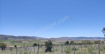 Sahibinden Ayaş Bayram Köyünde Satılık Hobi Bahçesi