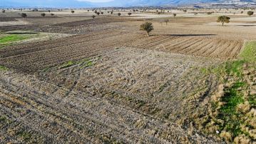 Net Premium'dan Serinhisar Yüreğil De Satılık Hobi Bahçesi