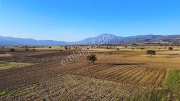 Net Premium'dan Serinhisar Yüreğil De Satılık Hobi Bahçesi