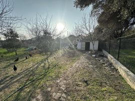 Foça Yeniköy Yatırma Uygun Arsa