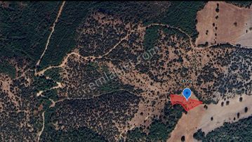 Balıkesir Kepsut Göbel De Satılık 2686m² Tarla