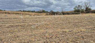 Asfalt Cephe Son Parseller