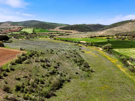 Salihli'de Satılık 159 Dönüm Arazi (elektrik-su Mevcut)