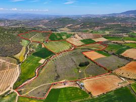 Salihli'de Satılık 159 Dönüm Arazi (elektrik-su Mevcut)