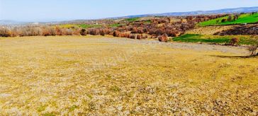 Kula'da Satılık 30709 M2 Tarla (video)