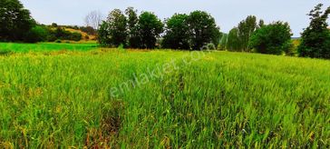 Gördes'te Satılık Merkeze Yakın 20 Dönüm Düz Tarla