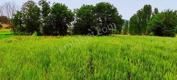 Gördes'te Satılık Merkeze Yakın 20 Dönüm Düz Tarla