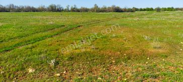 Kula'da Satılık 14250 M2 Düz Tarla (video)