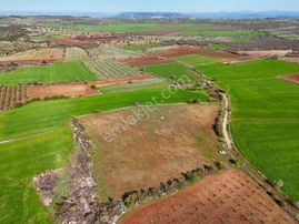 Kula'da Satılık 14250 M2 Düz Tarla (video)