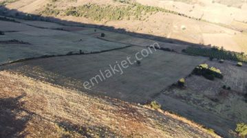 Karataş'tan Tam 33.000 M2 Şehire Yakın Yolu Olan Kupon Arazi