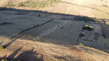 Karataş'tan Tam 33.000 M2 Şehire Yakın Yolu Olan Kupon Arazi