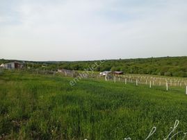 Silivri Büyükçavuşluda Satılık Tarla