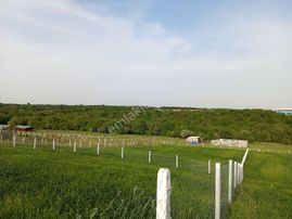 Silivri Büyükçavuşluda Satılık Tarla