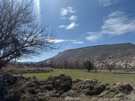 Nevşehir Ürgüp Taşkınpaşa Mah. Satılık Tek Tapulu Tarla