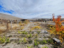 Gesi'de 996 M2 Bağ İçerisinde 2+1 Müstakil Bağ Evi