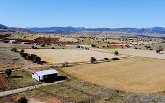 Meram Kızılören Satılık Elektrikli Su Kuyulu Satılık Bahçe Tarla