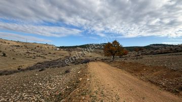 Türe Gayrimenkulden Gülnar Ulupınar Kokarkuyu Yaylasında Satılık Tarla