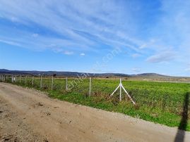 Balıkesir Karesi Kocaavşarda Satılık Tarla 7789 Metrekare