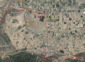 Balıkesir İvrindi Gökçeyazıda Satılık Çiftlik 31 Dönüm