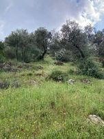 Sahibinden Kaçmaz Fırsat Tarla