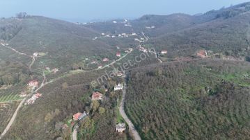 Villa Projeli 388m2 Arsa Doğa Manzaralı Parseller