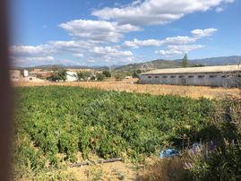 Rw Nefes' Ten Şahinler'de Satılık %25 Köy İmarlı Arsa