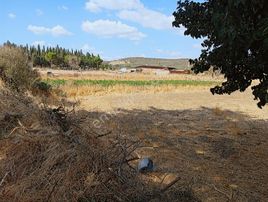 Rw Nefes' Ten Şahinler'de Satılık %25 Köy İmarlı Arsa