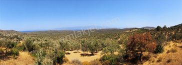 Rw Nefes'ten Pelitköy'de Deniz Manzaralı 5100 M² Zeytinlik