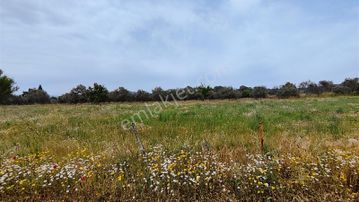 Rw Nefes Gayrimenkul' Den Yeni Baraj Yakınında Satılık Tarla