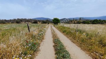 Rw Nefes Gayrimenkul' Den Yeni Baraj Yakınında Satılık Tarla