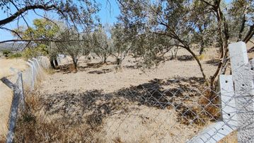 Rw Nefes'ten Burhaniye Hisar'da Satılık 4787 M² Zeytinlik