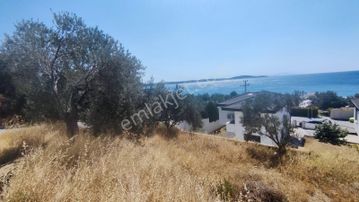 Rw Nefes'ten Pelitköy Sahilde Plaja 110 Mt Mesafede İmarlı Arsa