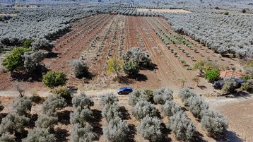 Karaköy Mahallesinde 4.660 M2 Tek Tapu Yolu Olan Fırsat Arazi