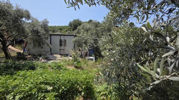 Novas Gayrimenkul'den Armutlu'da Satılık Tek Tapu Arazi