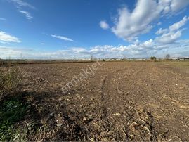 Ayrancılar’da Satılık 5000 M2 Tek Tapu Tarla 55 M Yol Cepheli