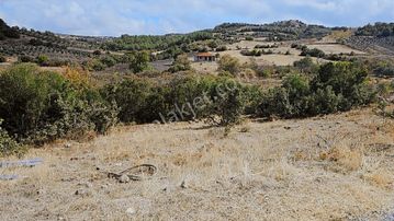 Manisa / Akhisar'da Satılık Fırsat Tarla !