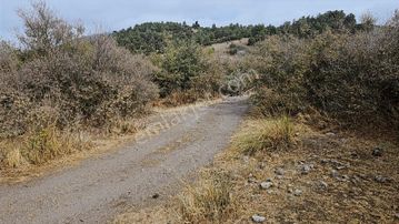 Manisa / Akhisar'da Satılık Fırsat Tarla !