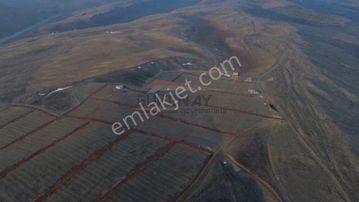 Güvenay - Yeni Osmancık Yolu Yanı Satılık Bahçeler