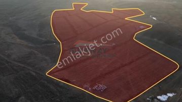 Güvenay - Yeni Osmancık Yolu Yanı Satılık Bahçeler