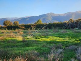 Kemalpaşa Ören'de Çift Yol Cepheli Satılık Bahçe 6660m2