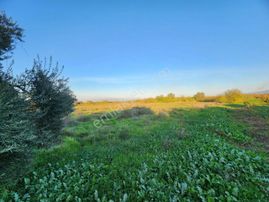 Kemalpaşa Ören'de Çift Yol Cepheli Satılık Bahçe 6660m2