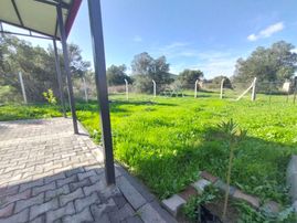 Balıkesir Burhaniye Tayllielli Nde Bulunan Hobi Bahçesi Satılıktır