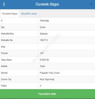 Çorlu Şahpaz'da 6.650 M² Kadastral Yola Cephe Yatırımlık Tarla