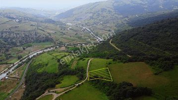 Canik-kızıloğlak'ta 2888 M² Kaçırılmayacak Acil Fırsat Tarla !!!